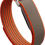 Google Fitbit Air